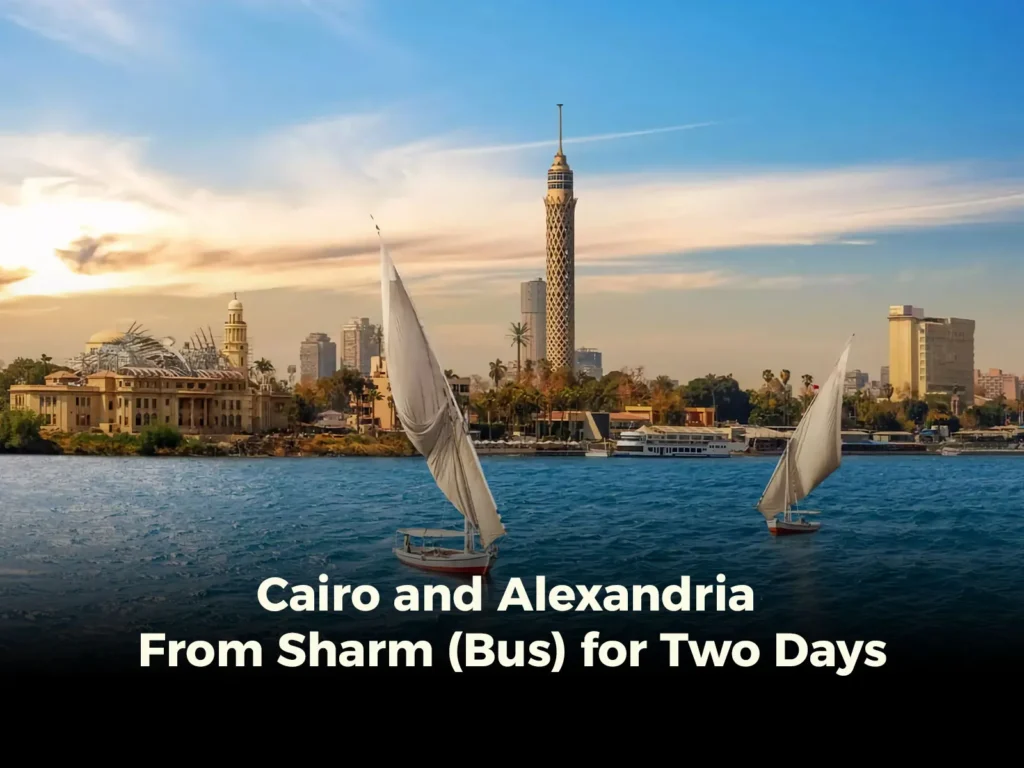 Cairo and Alexandria From Sharm (Bus) for Two Days