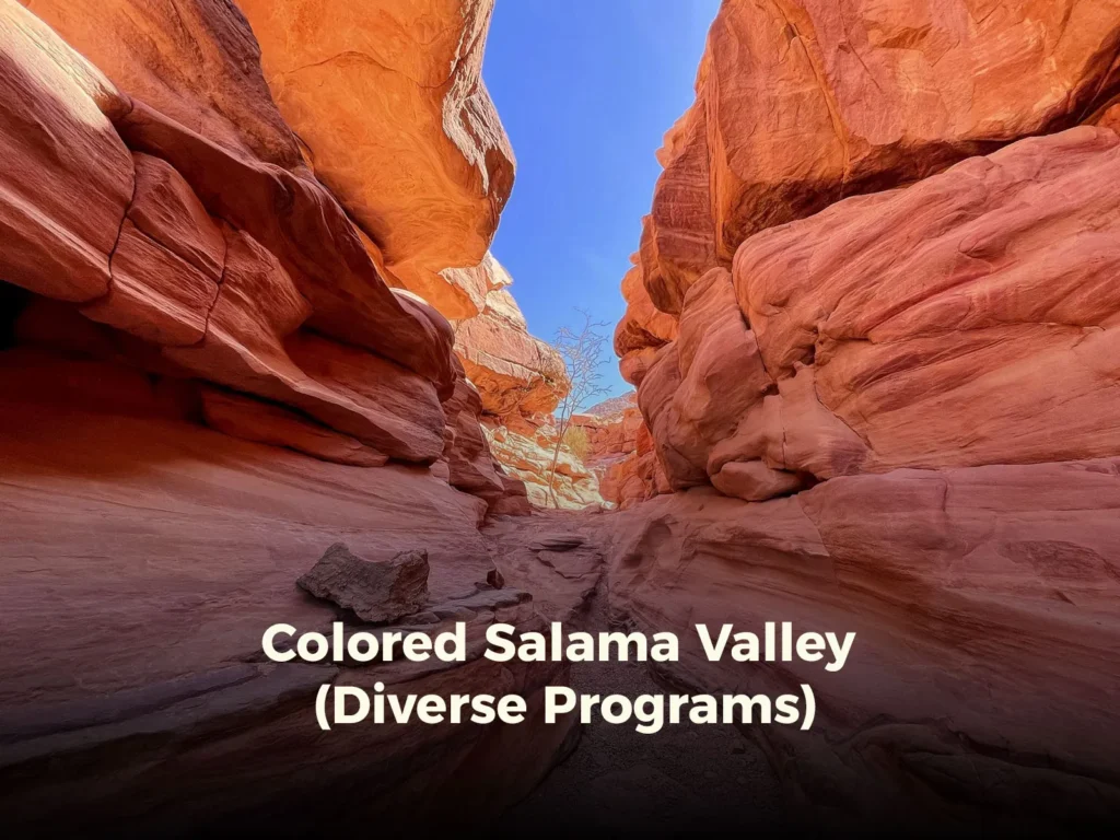 Colored Salama Valley (Diverse Programs)
