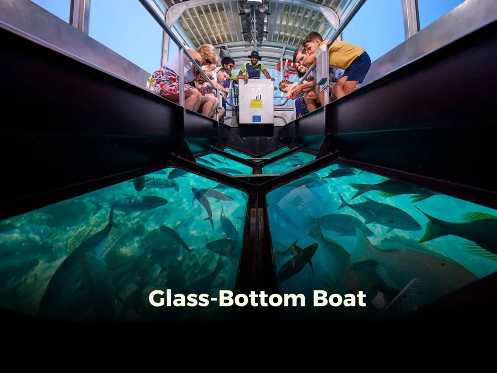 Glass-Bottom Boat