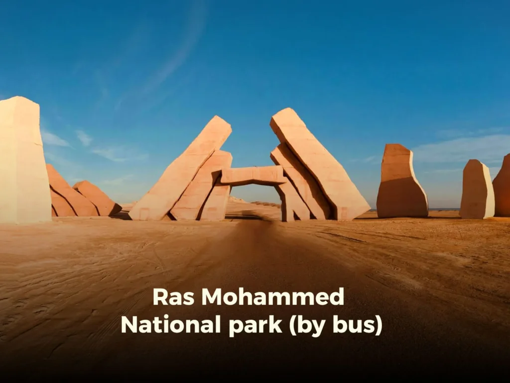 Ras Mohammed National park (by bus)