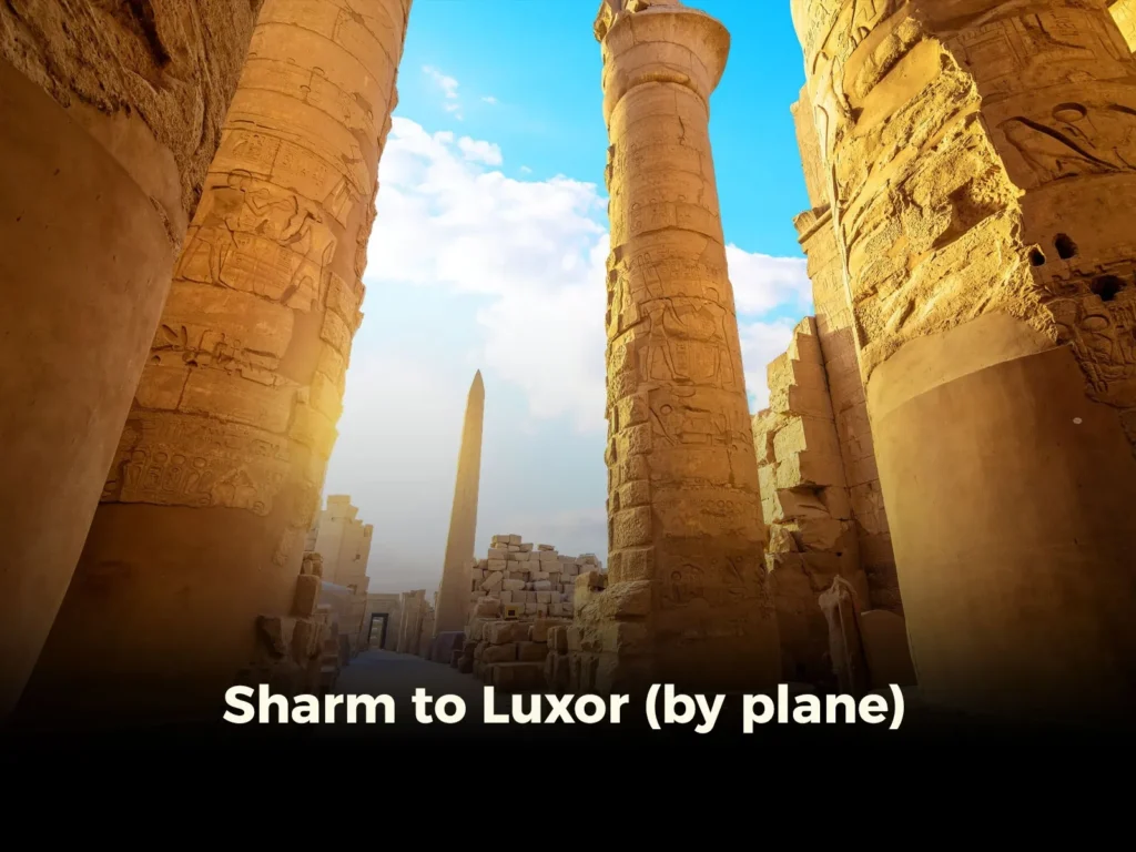 Sharm to Luxor (by plane)