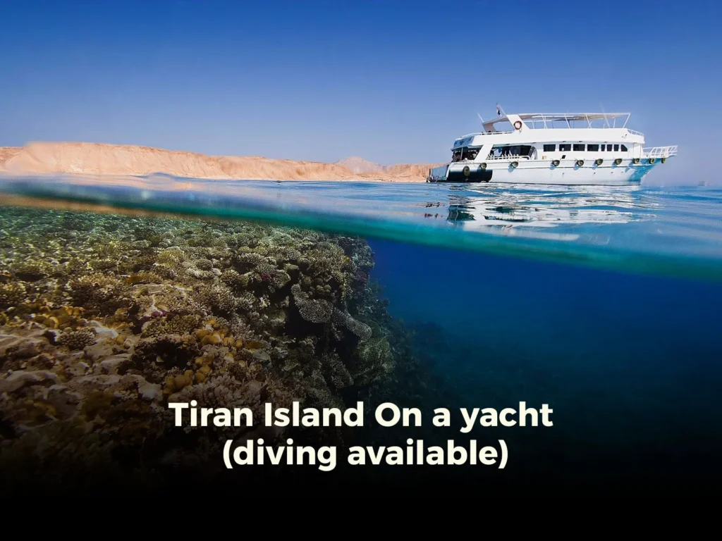 Tiran Island On a yacht (diving available)