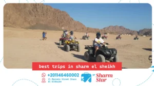 Blog 61 Best Trips in Sharm El Sheikh