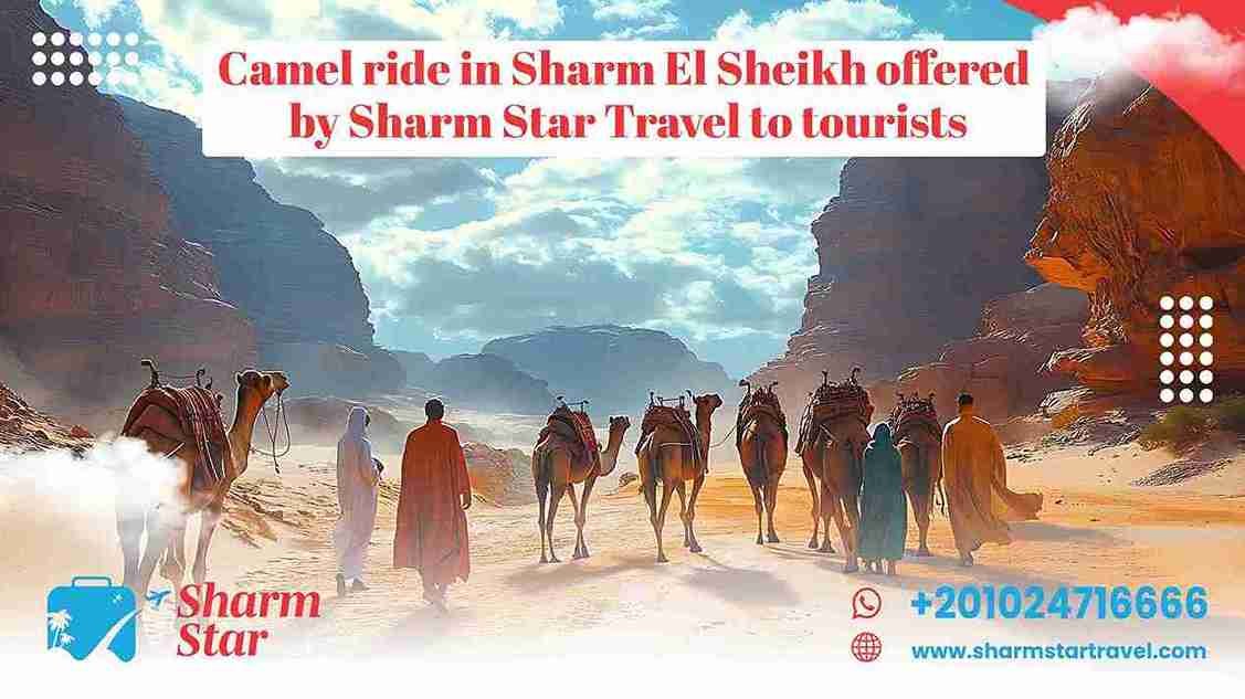Camel Ride in Sharm El Sheikh Offered by Sharm Star Travel to Tourists