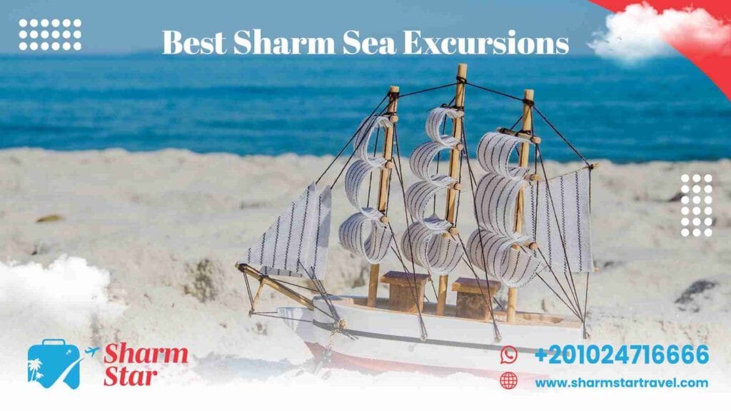 Best sharm sea excursions