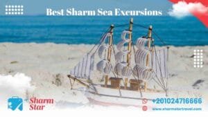 Blog 56 Best sharm sea excursions