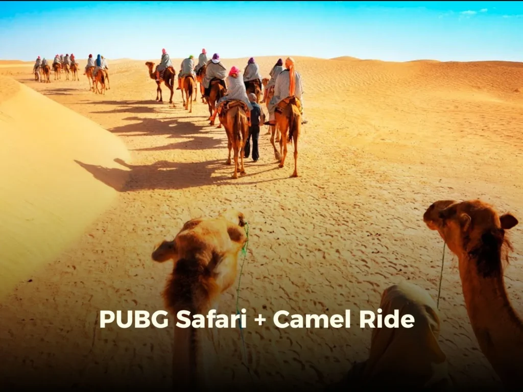 PUBG Safari + Camel Ride