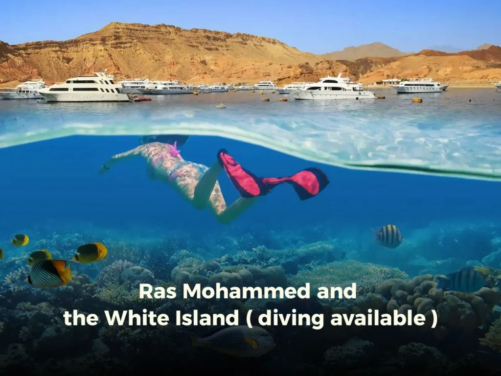 Ras Mohammed and the White Island ( diving available )