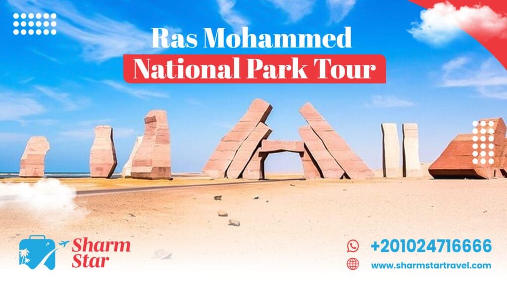 Ras Mohammed National Park Tour