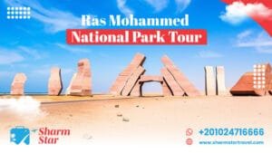 Blog 21 Ras Mohammed National Park Tour