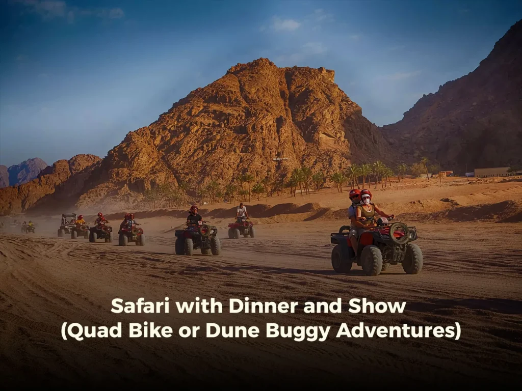 Safari with Dinner and Show (Quad Bike or Dune Buggy Adventures)