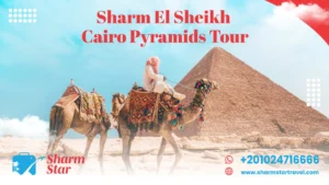 Blog 77 Sharm el sheikh cairo pyramids tour