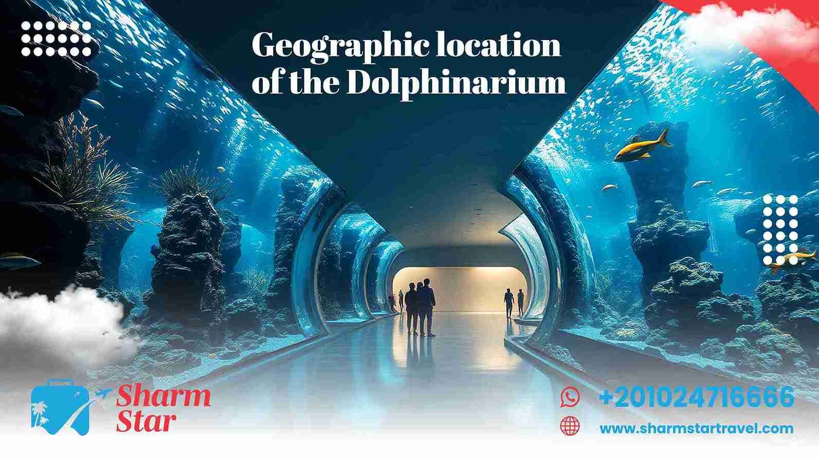 Geographic Location of the Dolphinarium