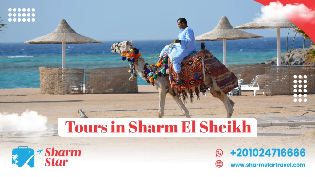 tours in sharm el sheikh
