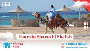 Blog 28 tours in sharm el sheikh