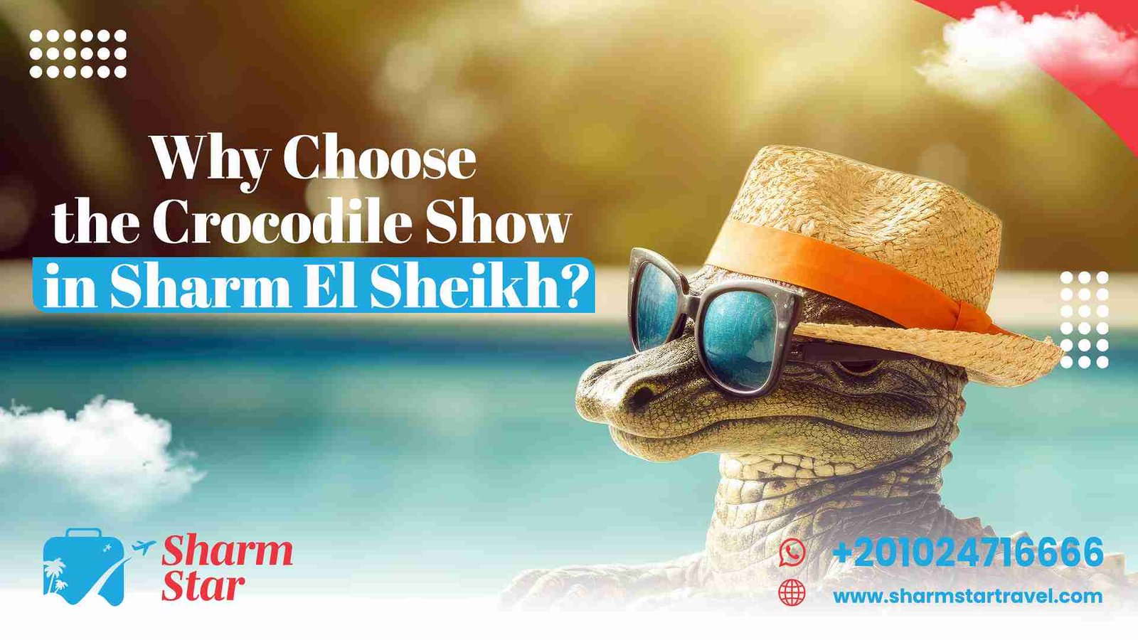 Why Choose the Crocodile Show in Sharm El Sheikh?