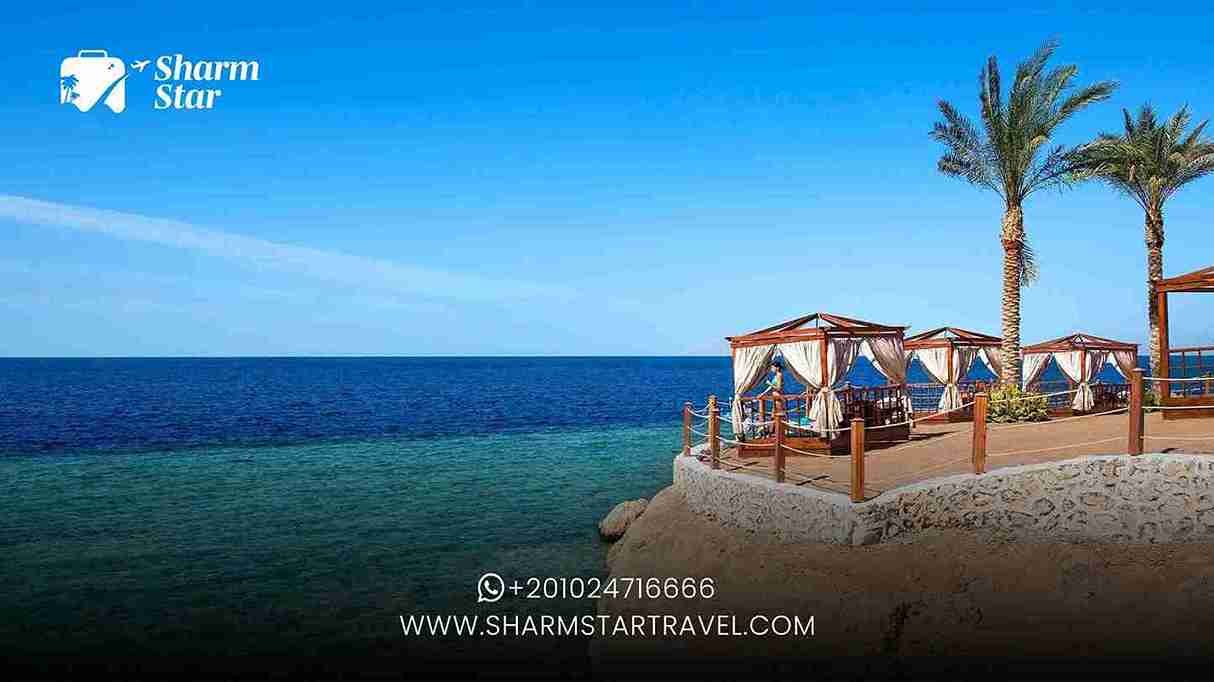Beach Activities You Can Enjoy at the Best Beaches in Sharm El Sheikh