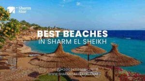 Blog 69 Best Beaches in Sharm El Sheikh