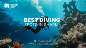 Blog 76 Best Diving Spots in Sharm
