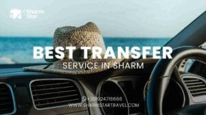 Blog 75 Best Transfer Service in Sharm