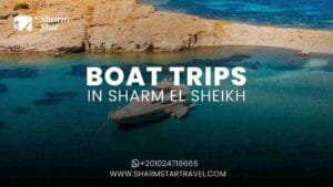 Blog 70 Boat Trips in Sharm El Sheikh