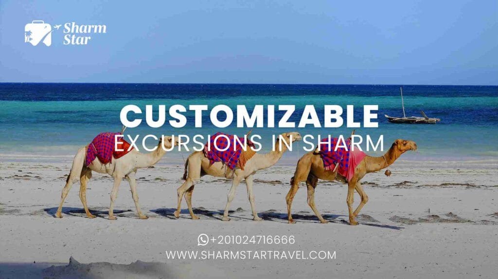 Customizable Excursions in Sharm