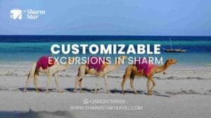 Blog 73 Customizable Excursions in Sharm