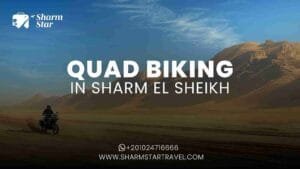 Blog 71 Quad Biking in Sharm El Sheikh