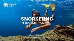 Blog 57 Snorkeling in Ras Mohammed