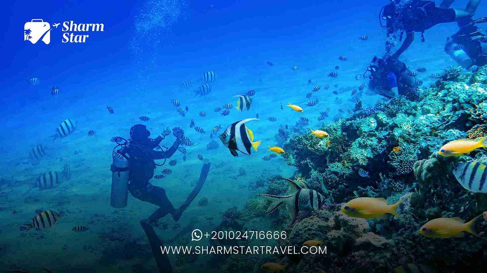 Top Diving Spots in Sharm El Sheikh
