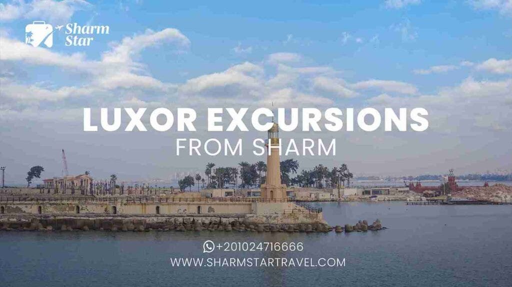 Visiting Alexandria from Sharm