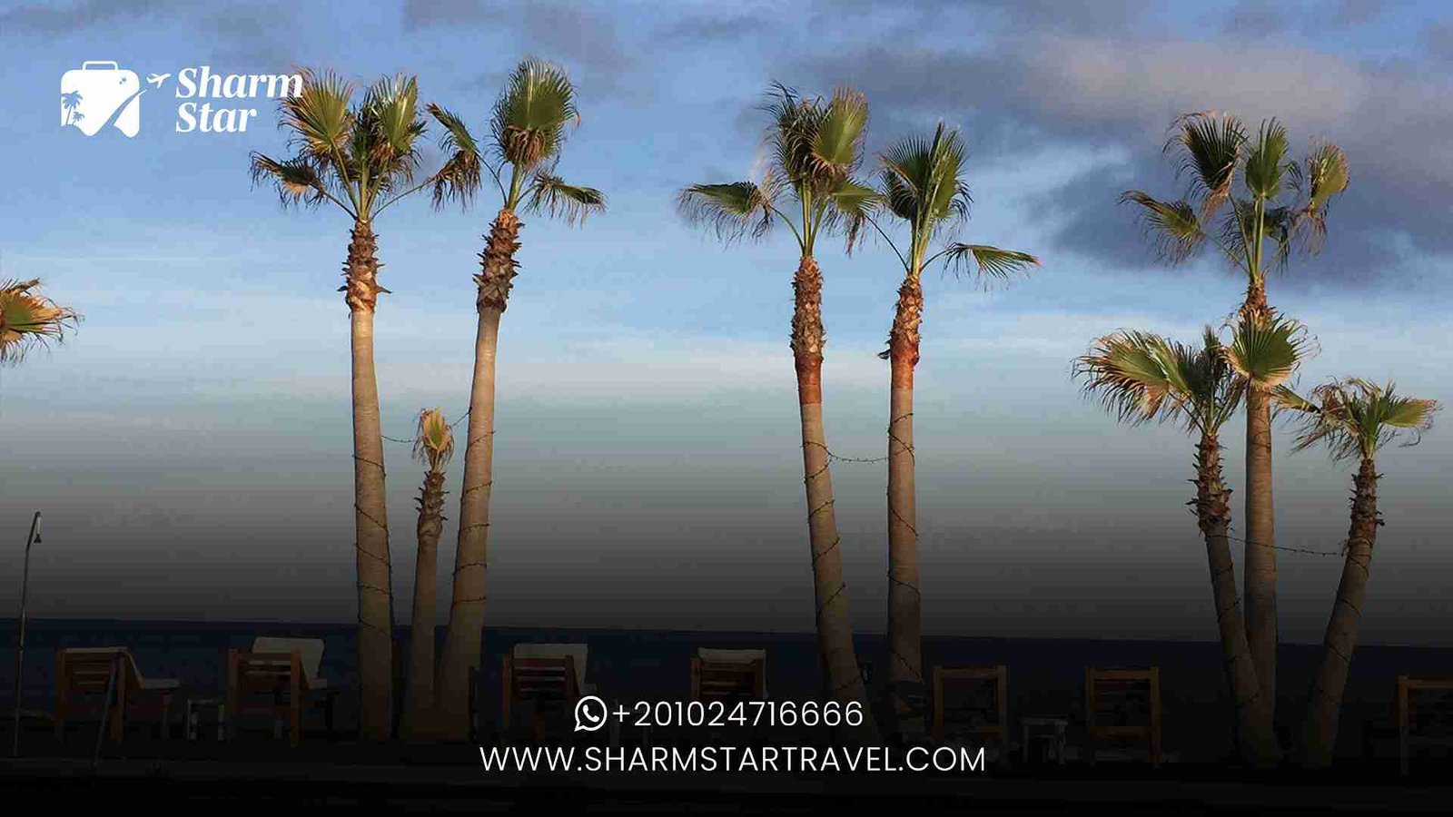 Weather in Sharm El Sheikh by Season