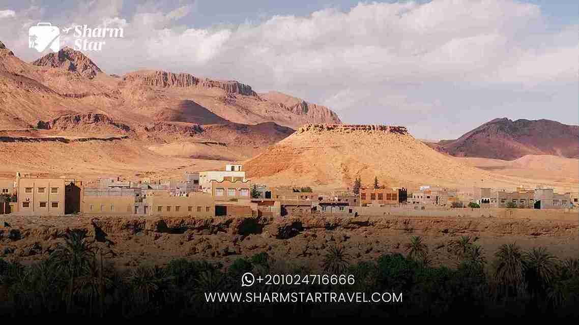 Why Visit Mount Sinai?
