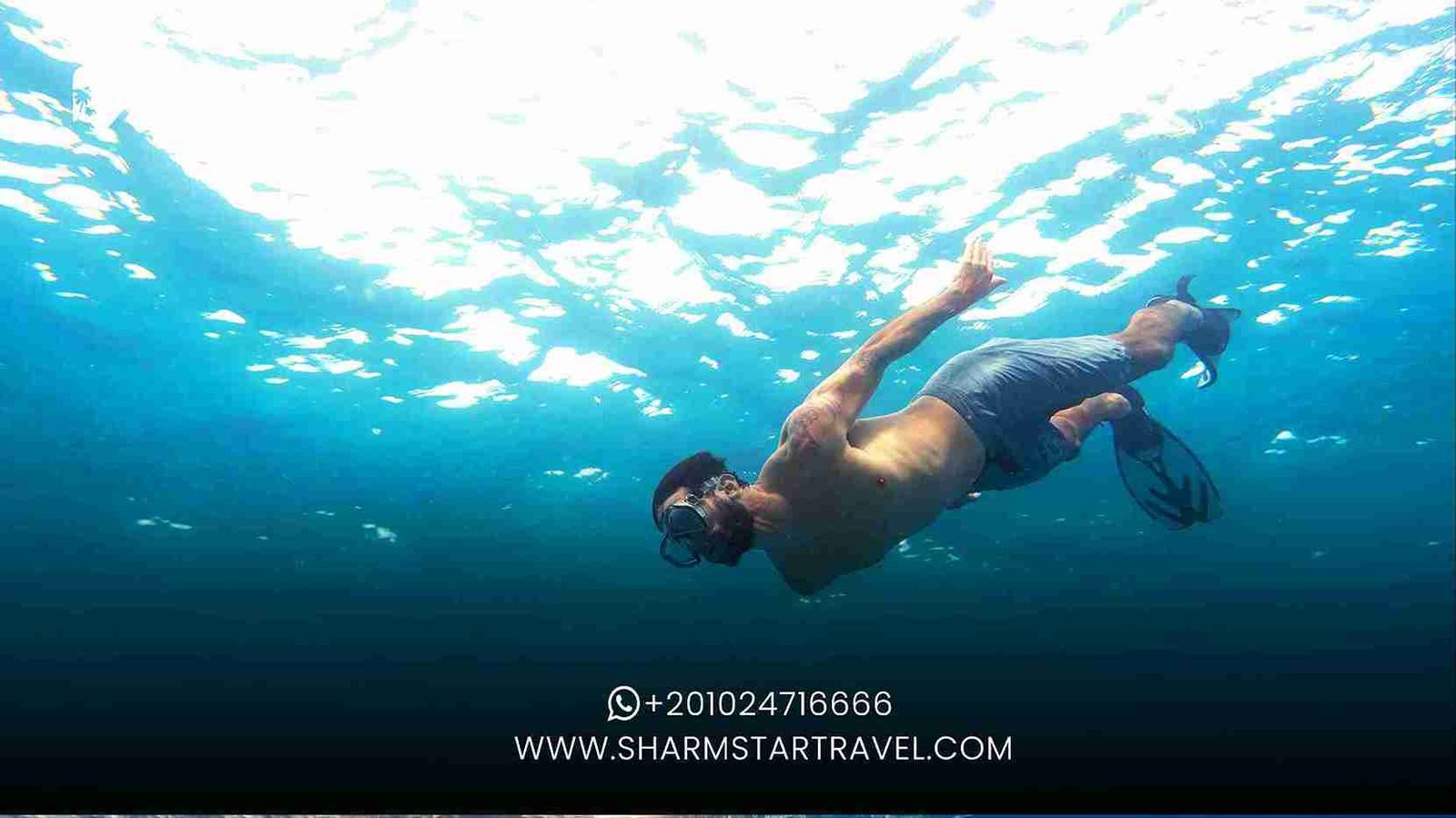 What to Expect on a Snorkeling Trip with Sharm Star Travel Company?