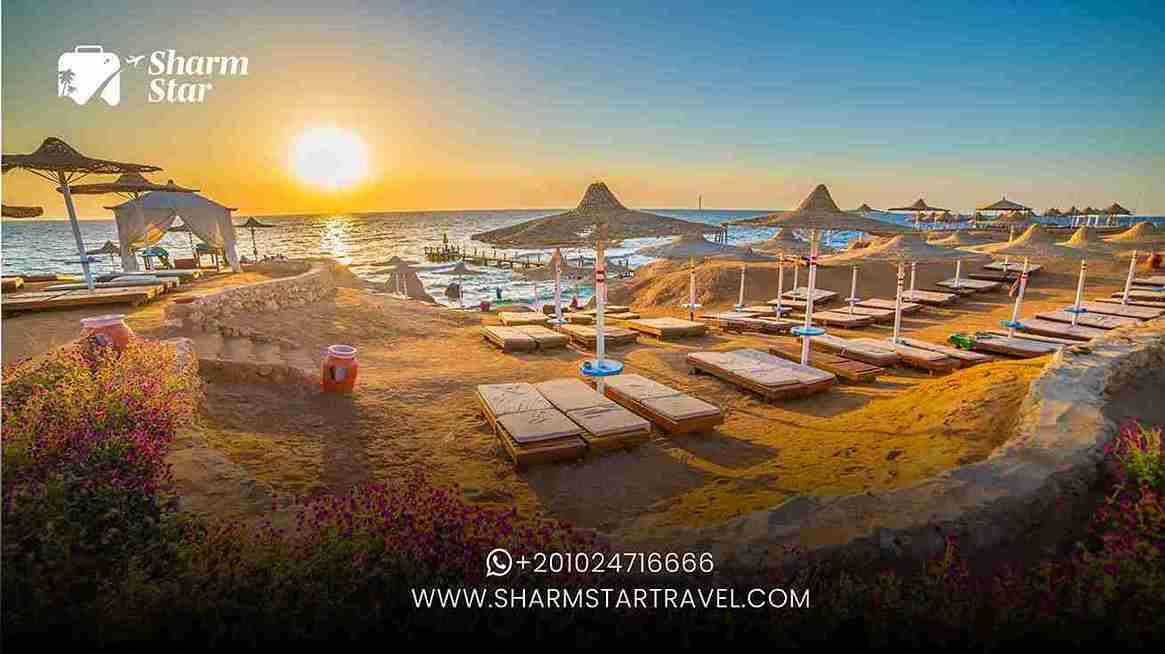 Why Visit the Best Beaches in Sharm El Sheikh?