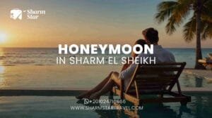 Blog 64 Honeymoon in Sharm El Sheikh