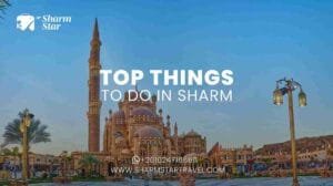 Blog 66 Top Things to Do in Sharm