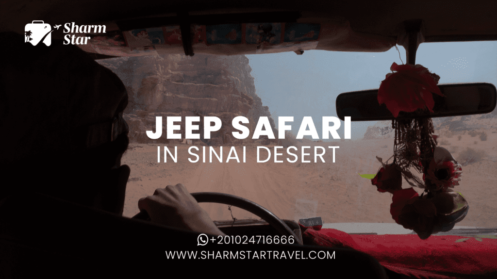 Jeep Safari in Sinai Desert