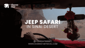 Blog 53 Jeep Safari in Sinai Desert
