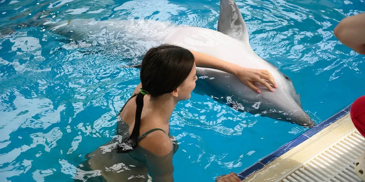 Swimming with the Dolphins