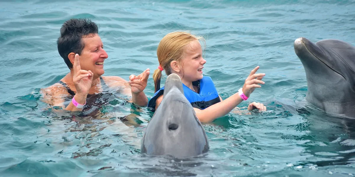 Swimming with the Dolphins