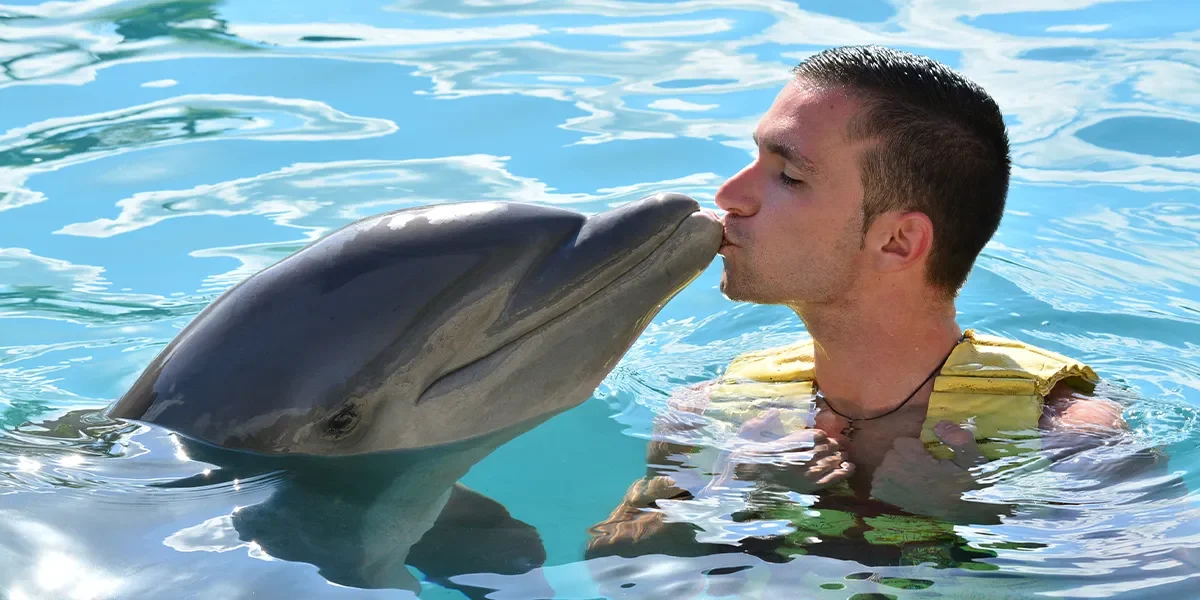 Dolphinarium in Sharm El Sheikh