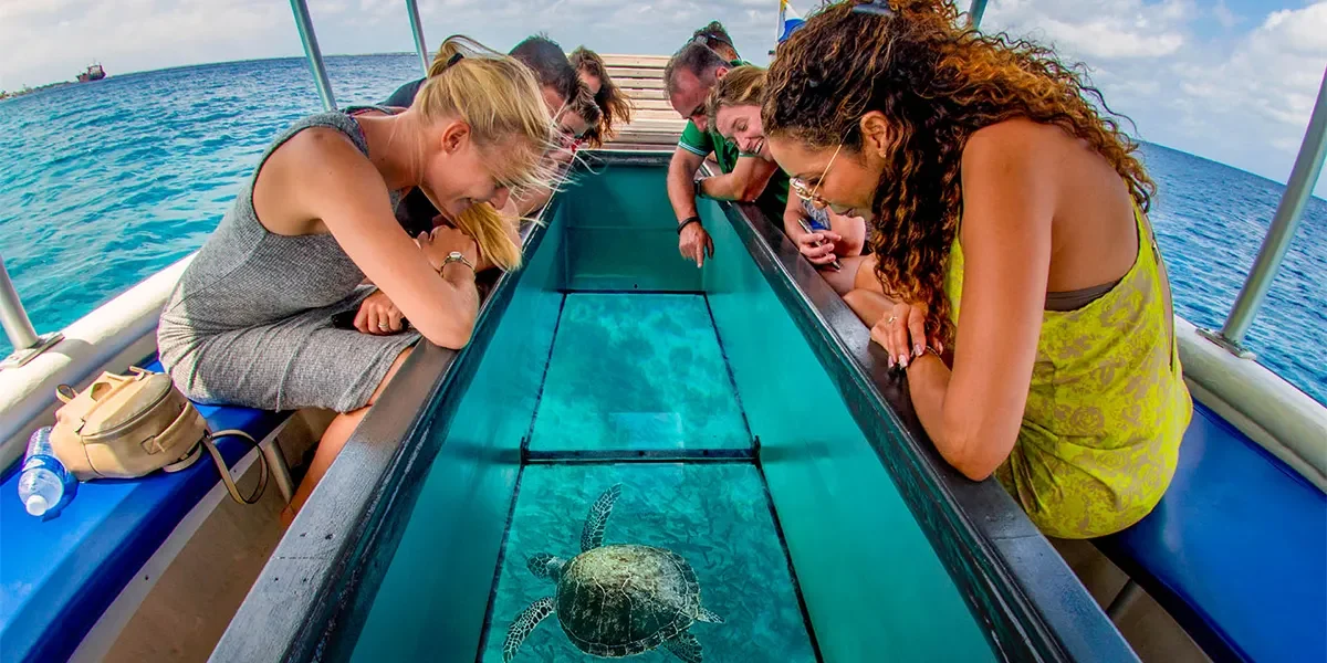 Glass-Bottom-Boat