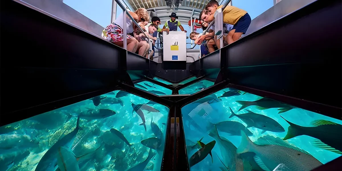 Glass-Bottom-Boat2