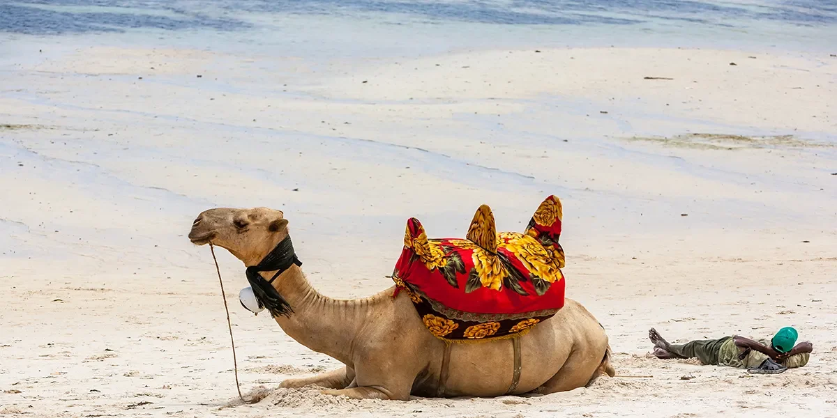 Ras-Mohammed-National-park