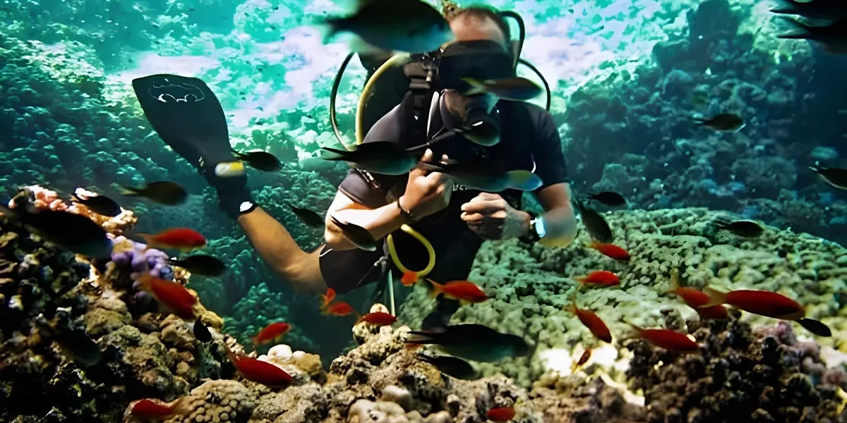 Tiran-Island-On-a-yacht-(diving-available)2
